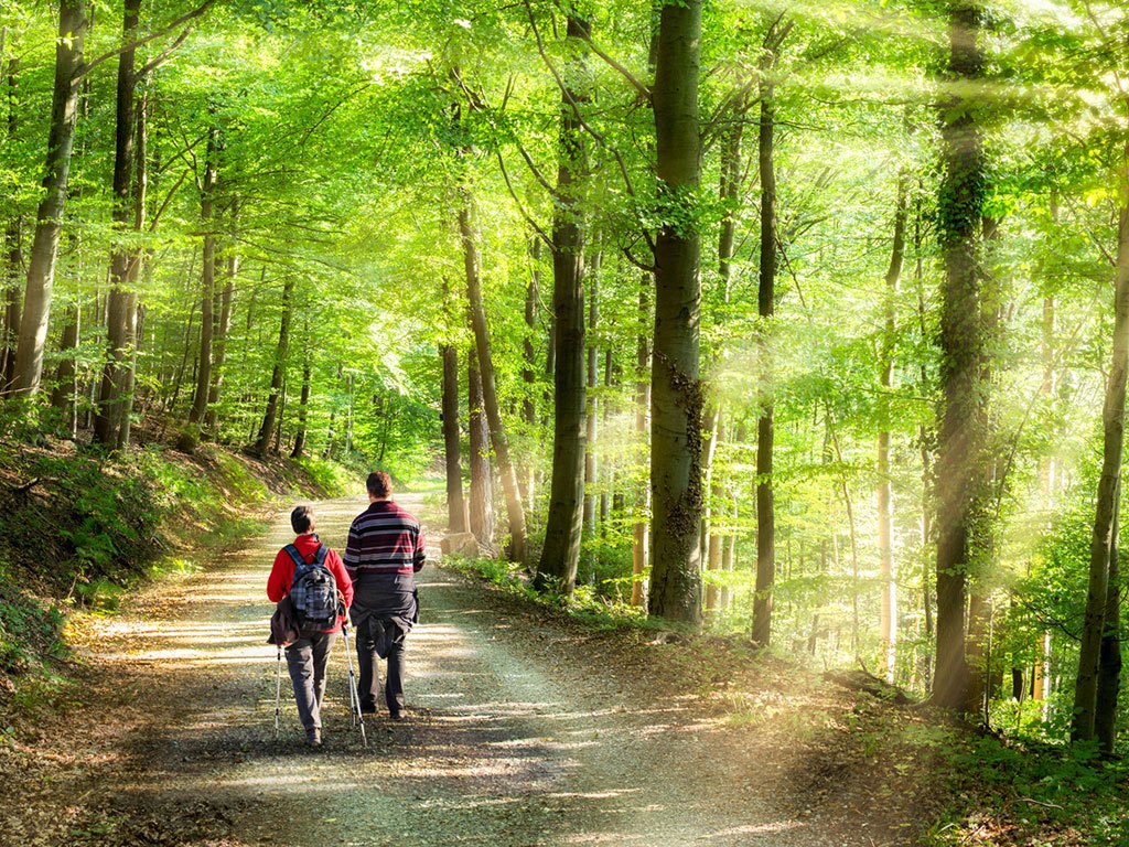 Quel équipement choisir pour une randonnée en autonomie ?