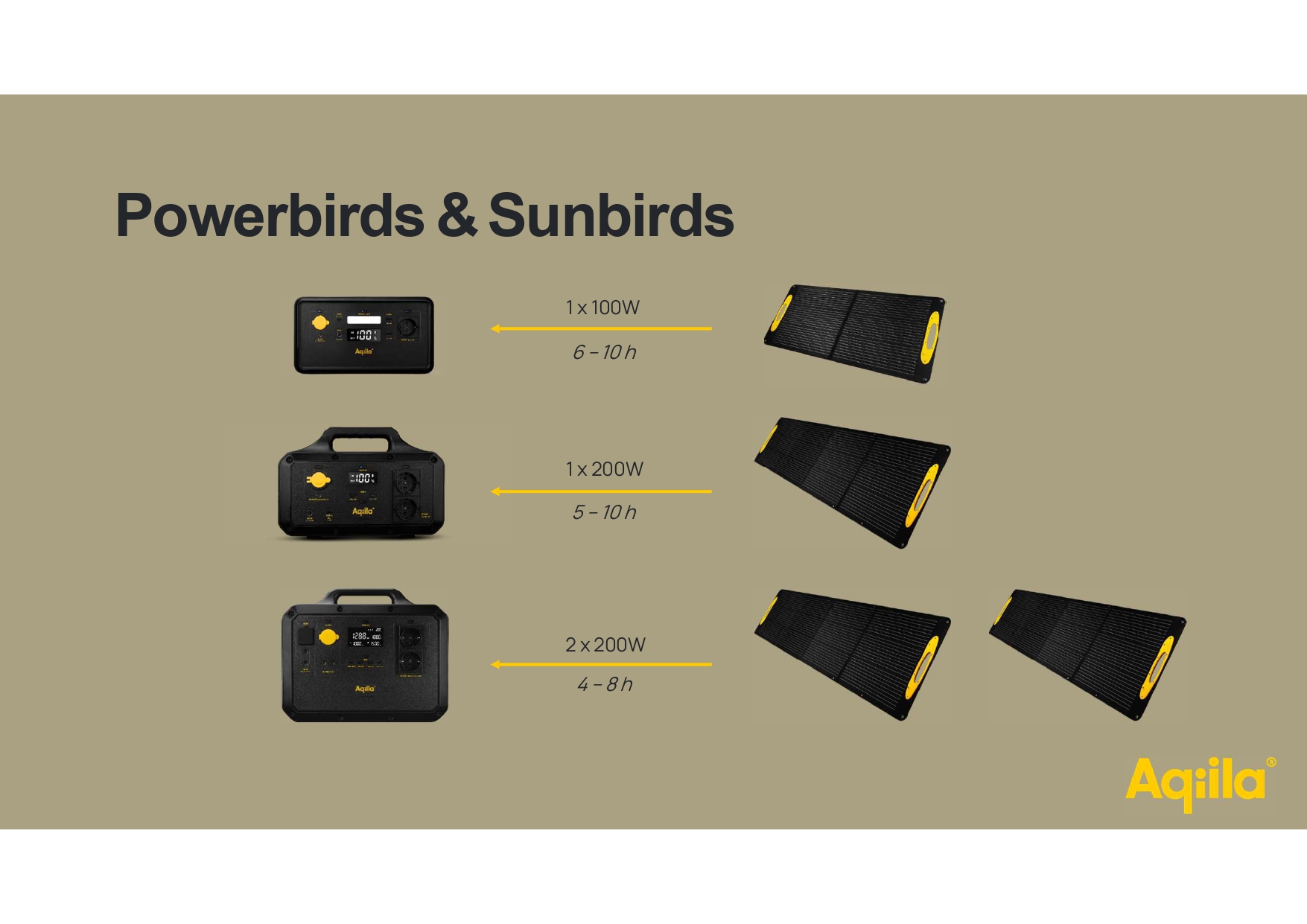 Collection Sunbirds and Powerbids Aqiila&apos;s Collection