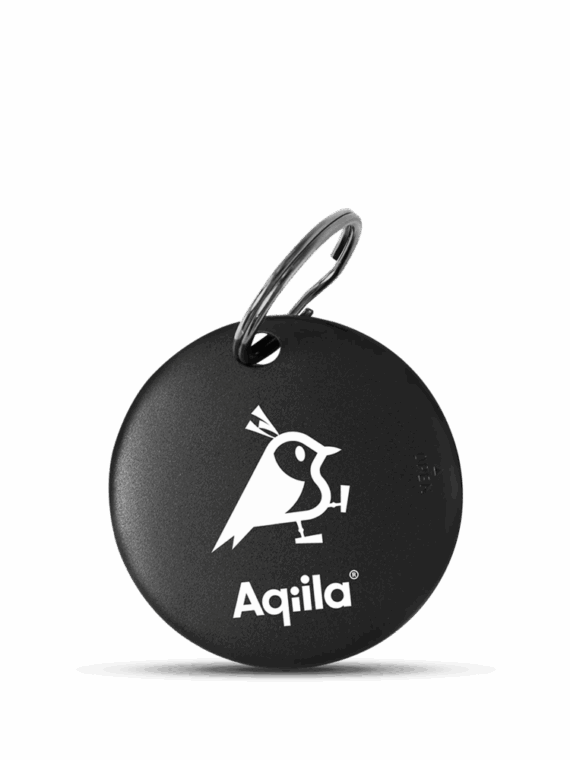 traceur gps vélo gratuit - tagbird